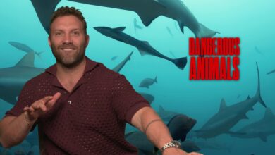 dangerous animals jai courtney