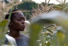 40 acres daniel deadwyler